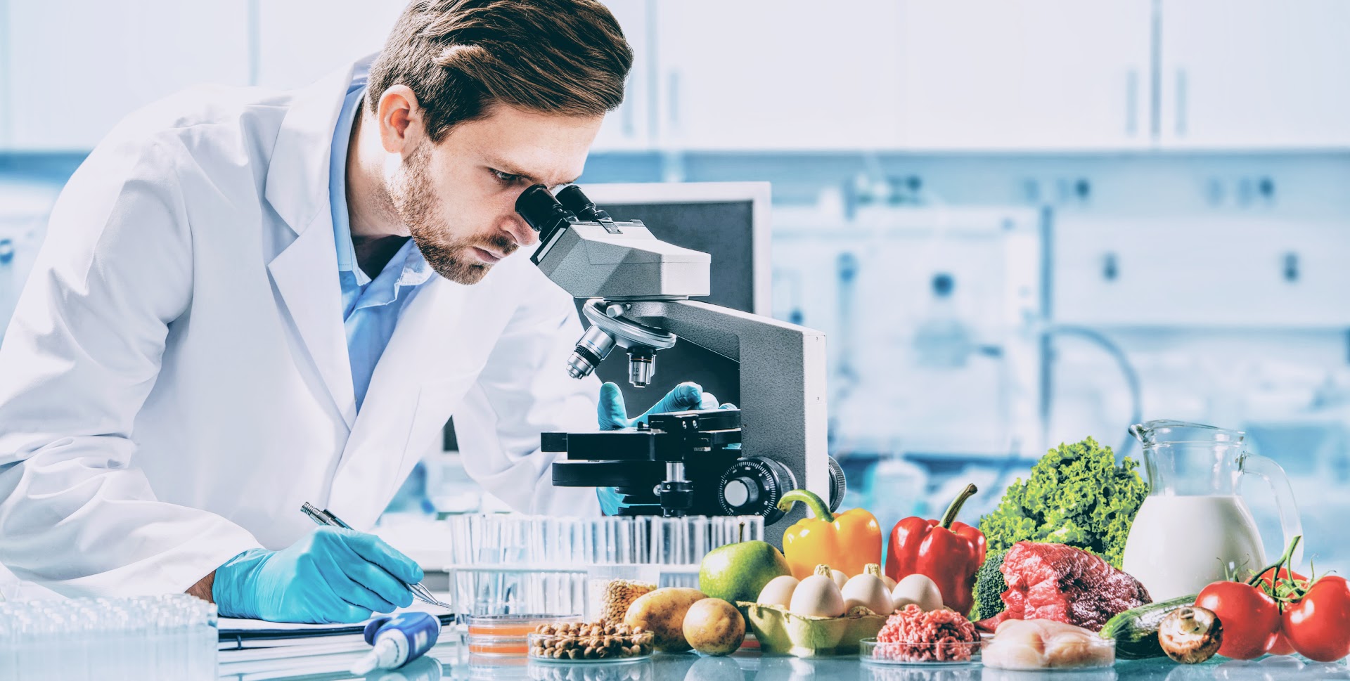 B.Sc Food Science and Nutrition